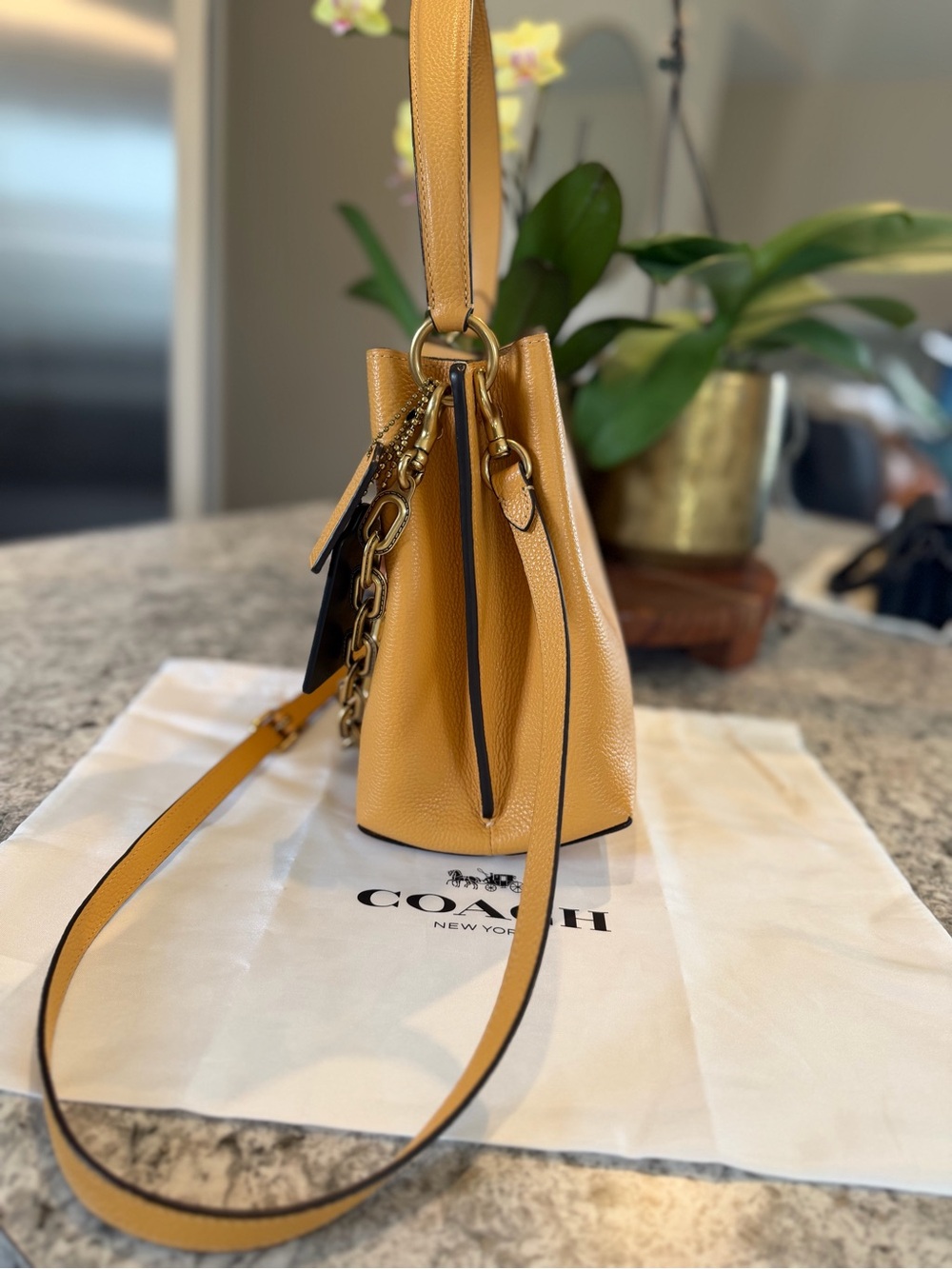 Coach Charlie Bucket Bag 21 in Honeycomb Style 89102 - Picture 6 of 12